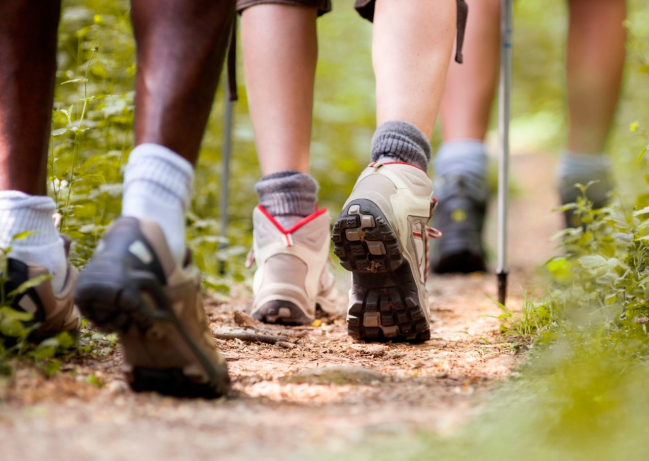 Closeup of hikers' feet walking down a trail.