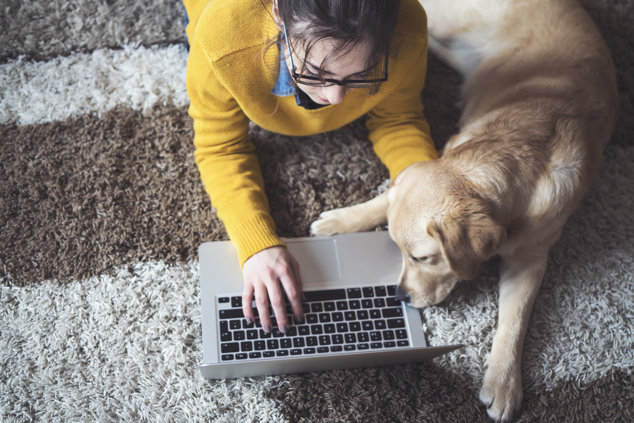 Young woman at home chatting with friends and working on laptop with dog