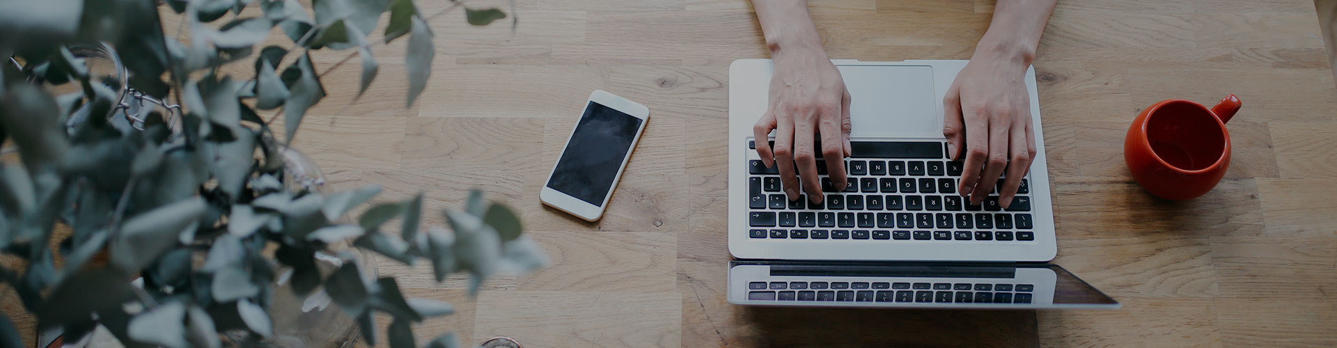 Woman using laptop with blank screen