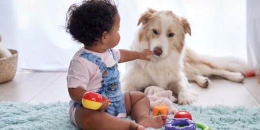 Baby And Dog 512