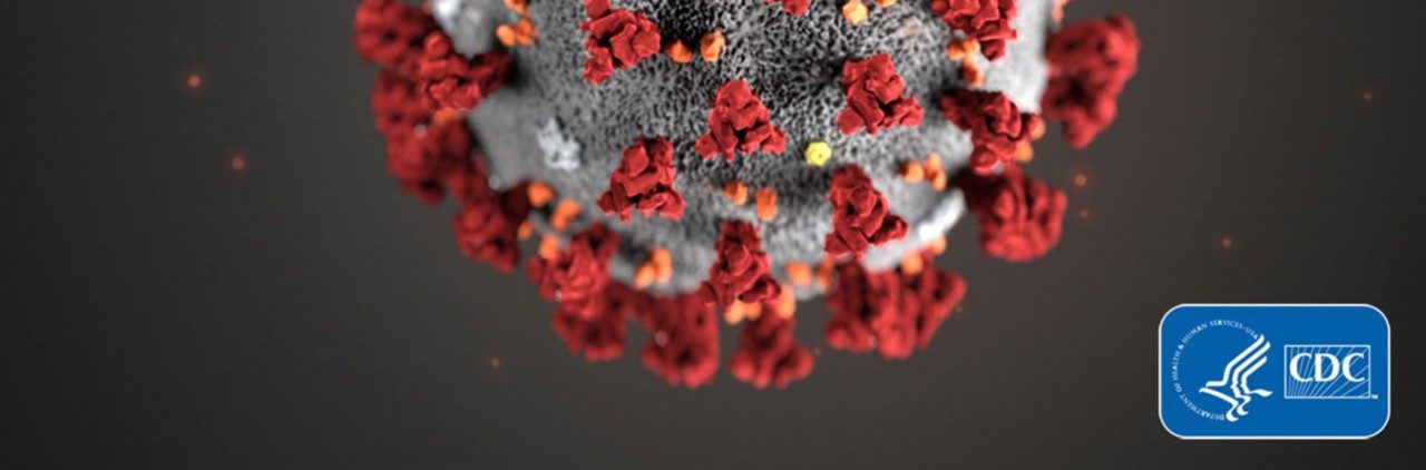 2019 Novel Coronavirus