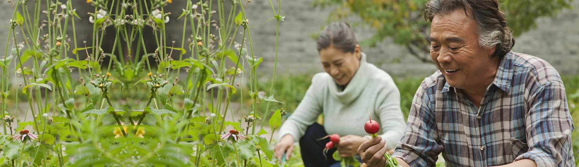 Senior couple in garden