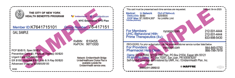 New York City Employees PPO blurred sample ID card.