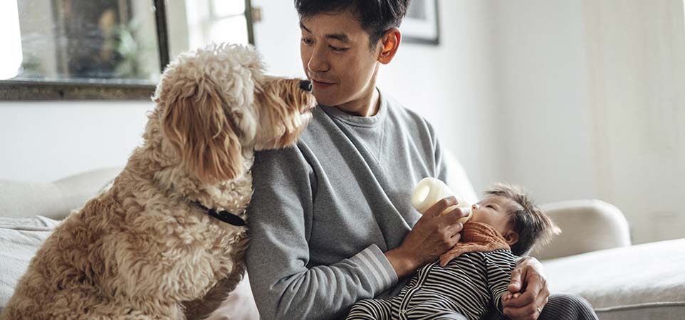 Father feeding his baby and sitting with dog on couch at home